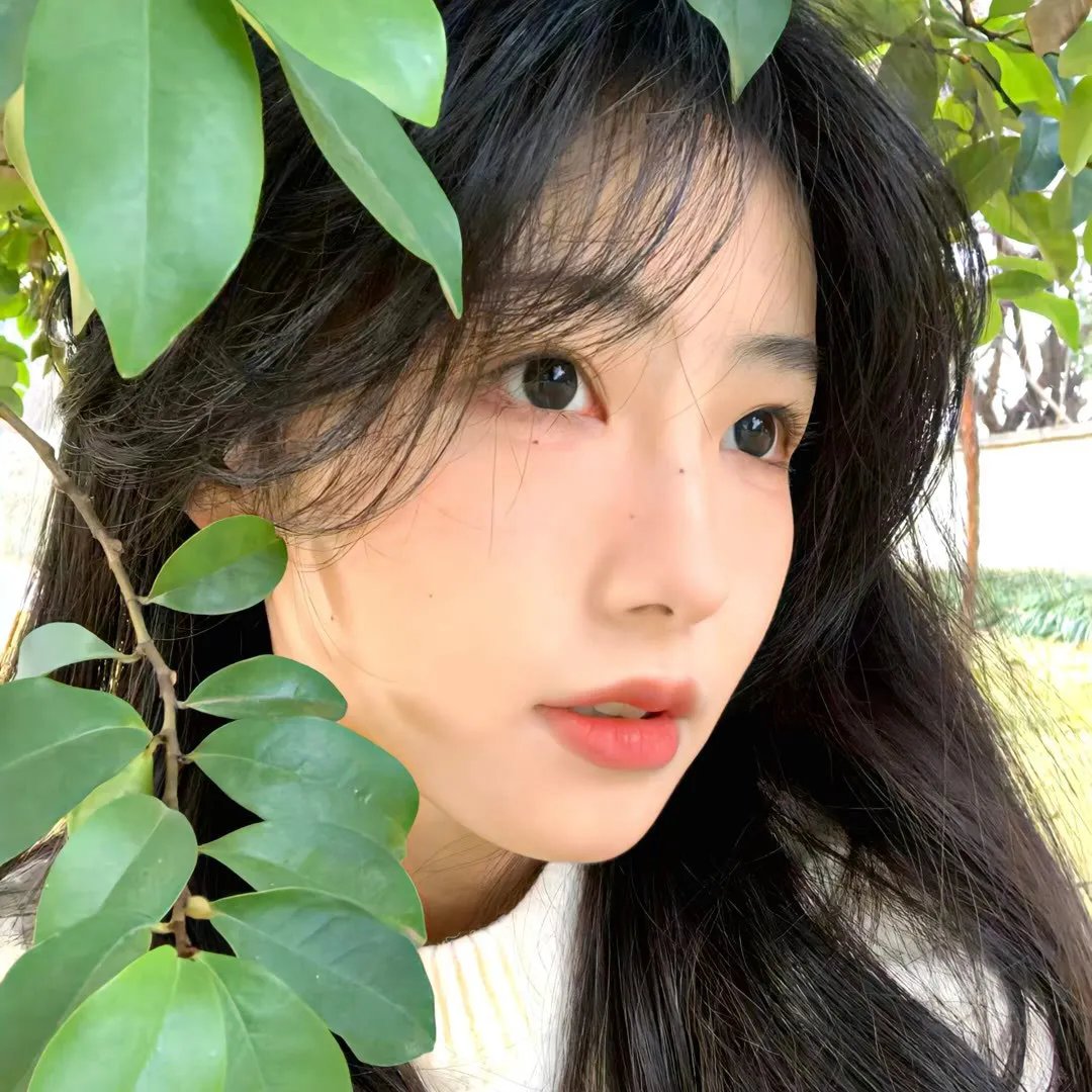 京都风云